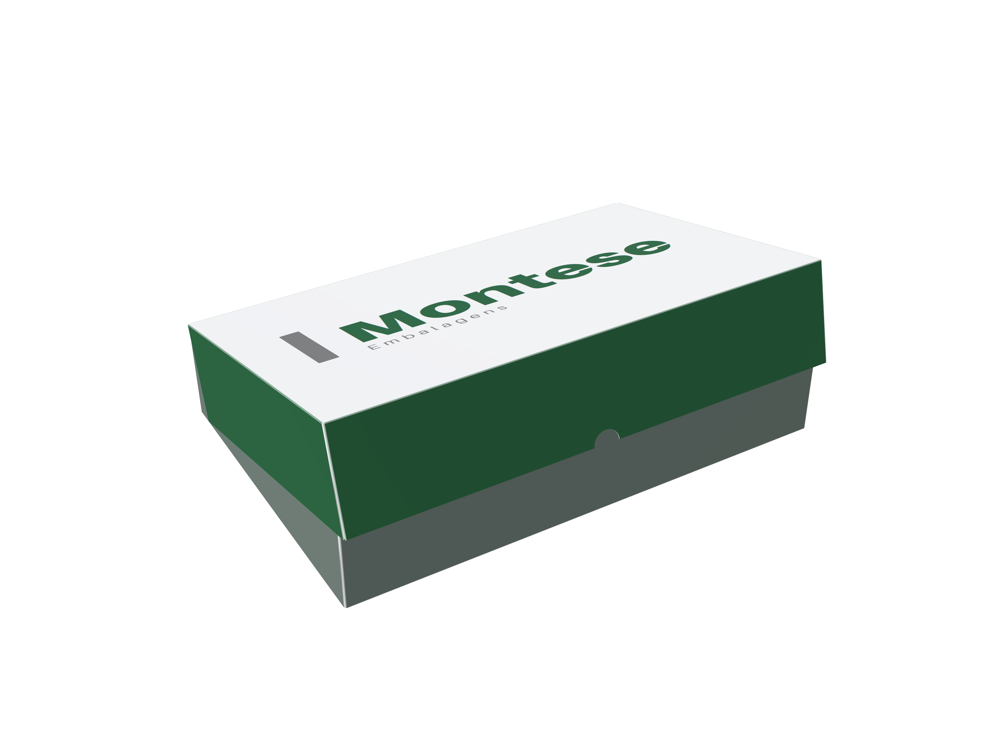 Five Panel Folder Micro